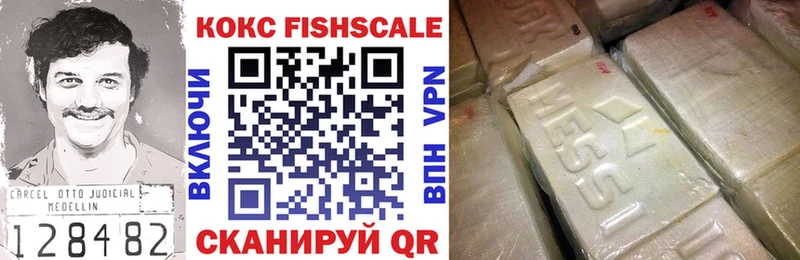 Купить закладки  Кемь  КОКАИН FishScale 