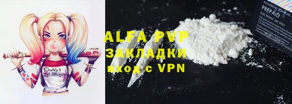 индика Заволжск