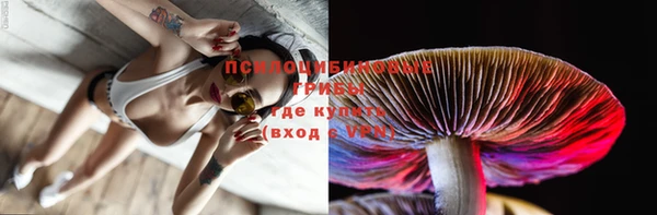 гидра Заводоуковск