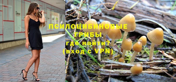 прущие крисы Зеленодольск