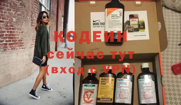 гидра Заводоуковск