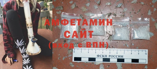 индика Заволжск