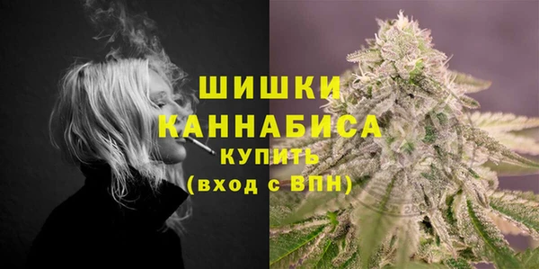 гидра Заводоуковск