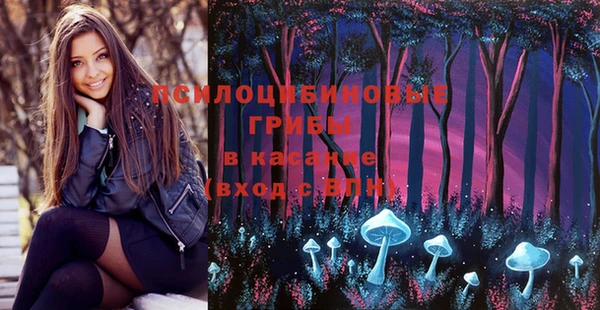 индика Заволжск