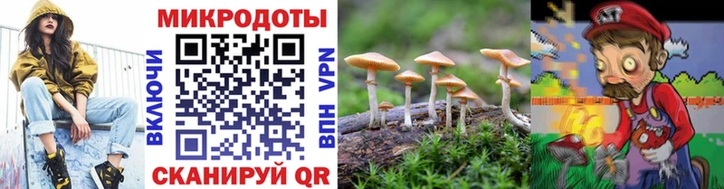 Купить закладки  Кемь  Галлюциногенные грибы Cubensis 